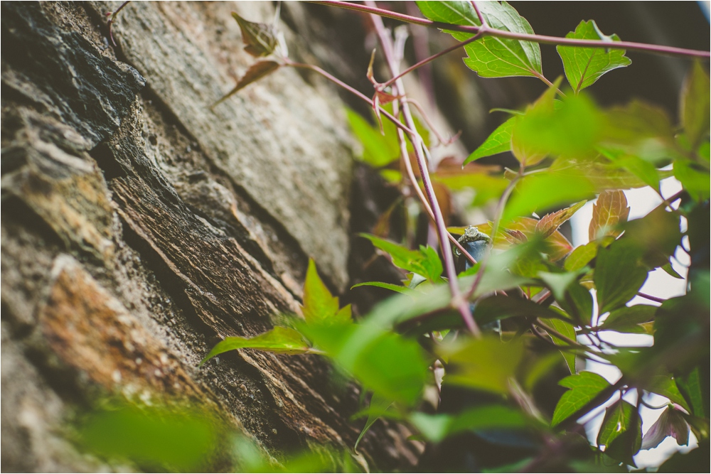  phipps conservatory engagement photography pittsburgh studio 29 photography