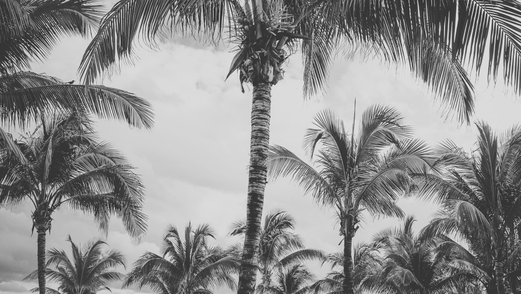 Mexico-2205bw