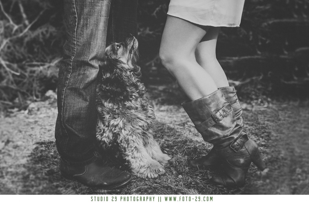 LJ_Engaged-4218bwlogo