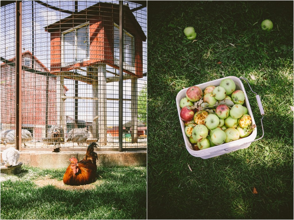 Mulberry Lane Barn Wedding Studio 29 Photography