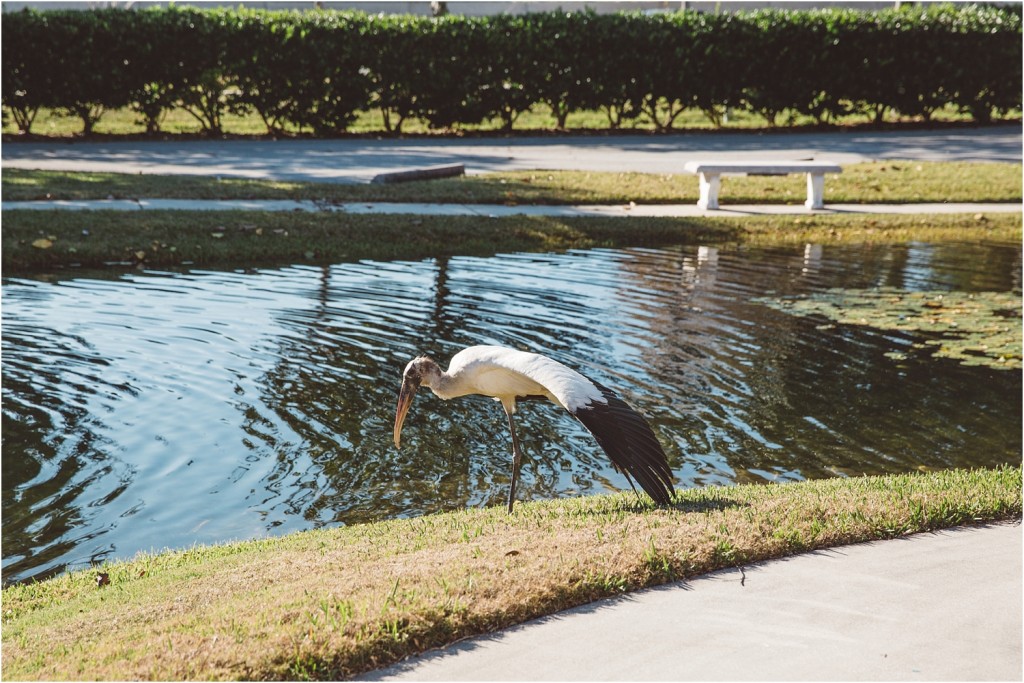 tpc sawgrass wedding photographer