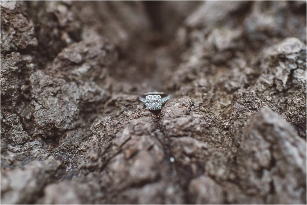 grant park engagement photos