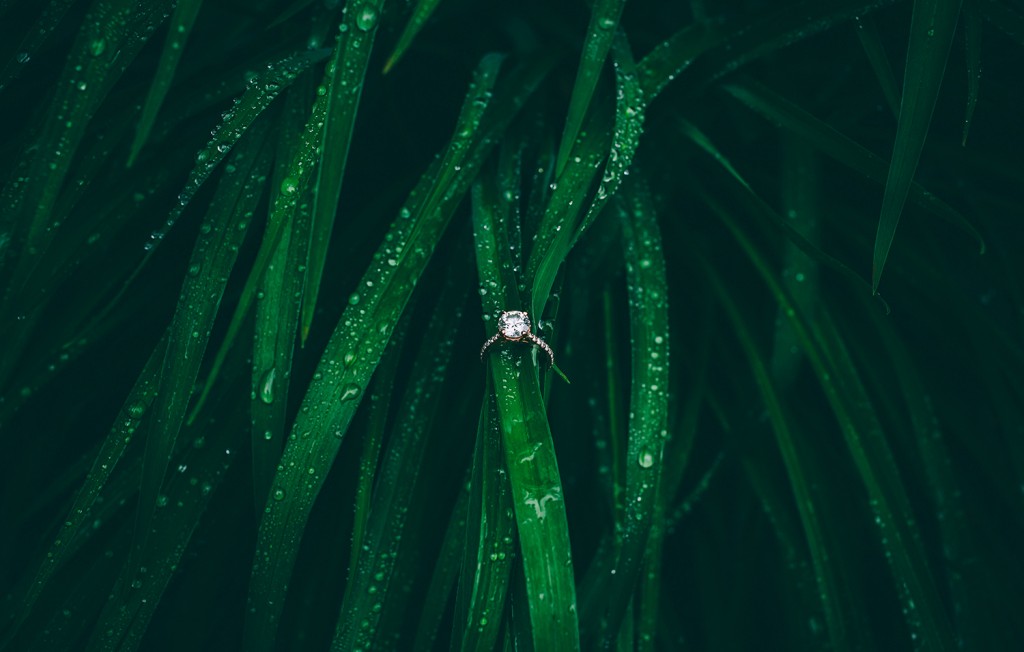 milwaukee engagement photos