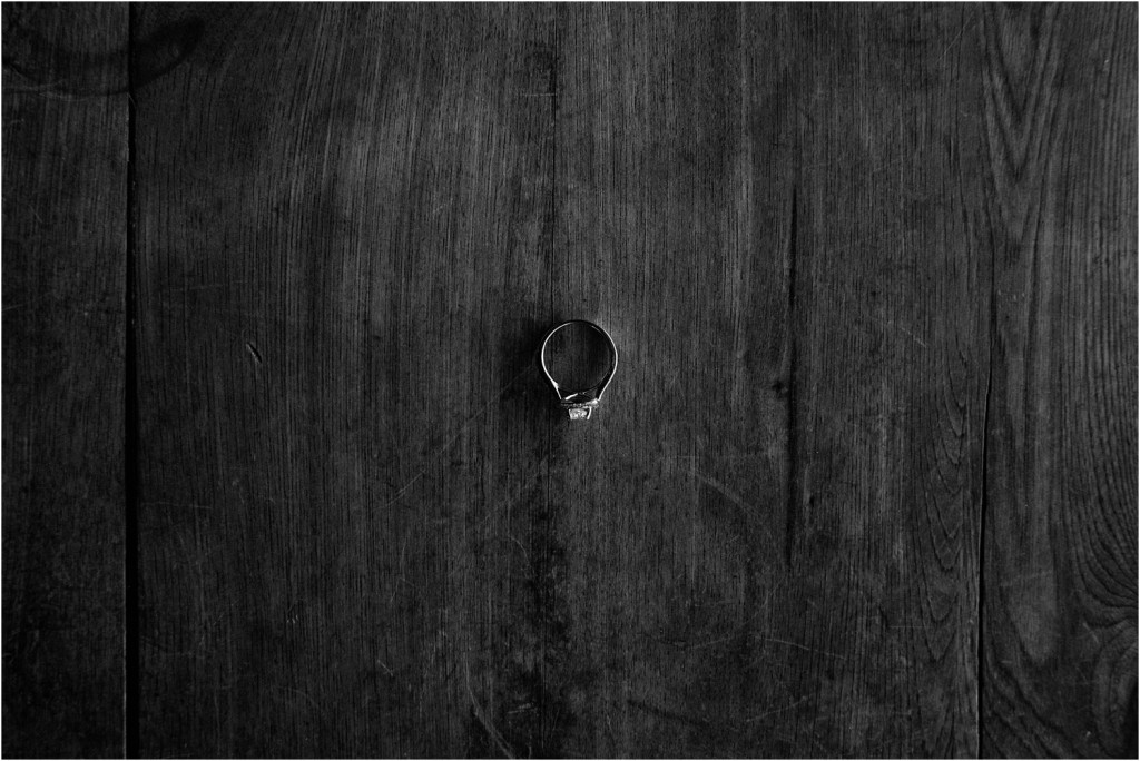 milwaukee engagement session