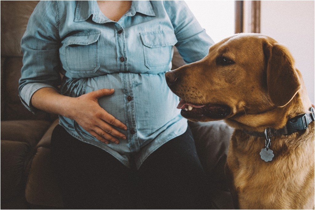 milwaukee maternity photography