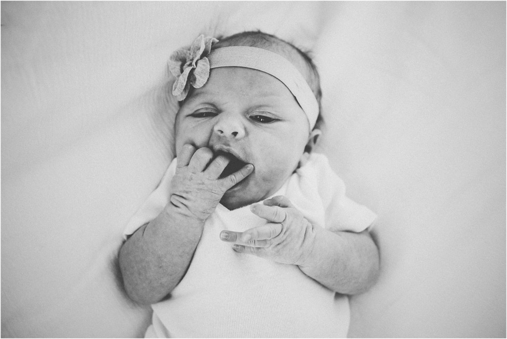 milwaukee newborn photography