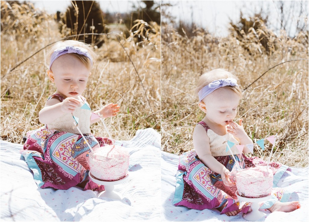 first birthday photography
