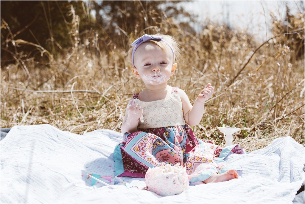first birthday photography