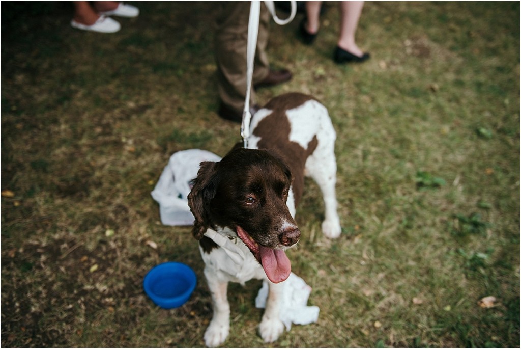 2015-08-18_0064
