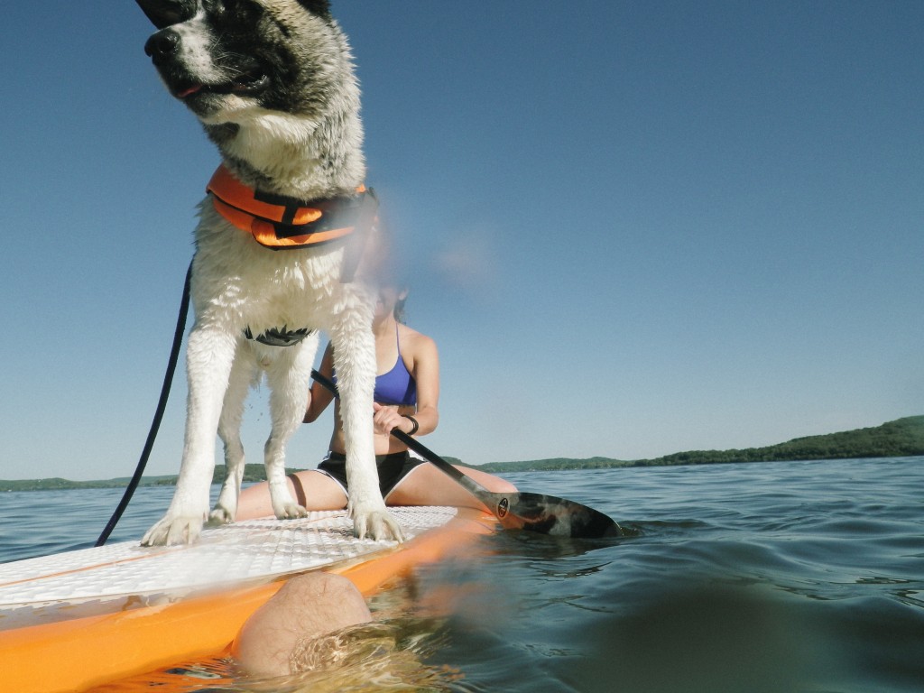 paddle boarding