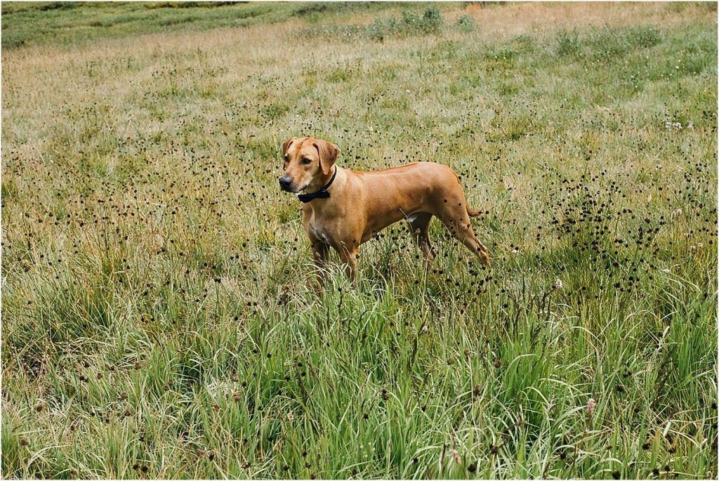 2015-09-09_0044