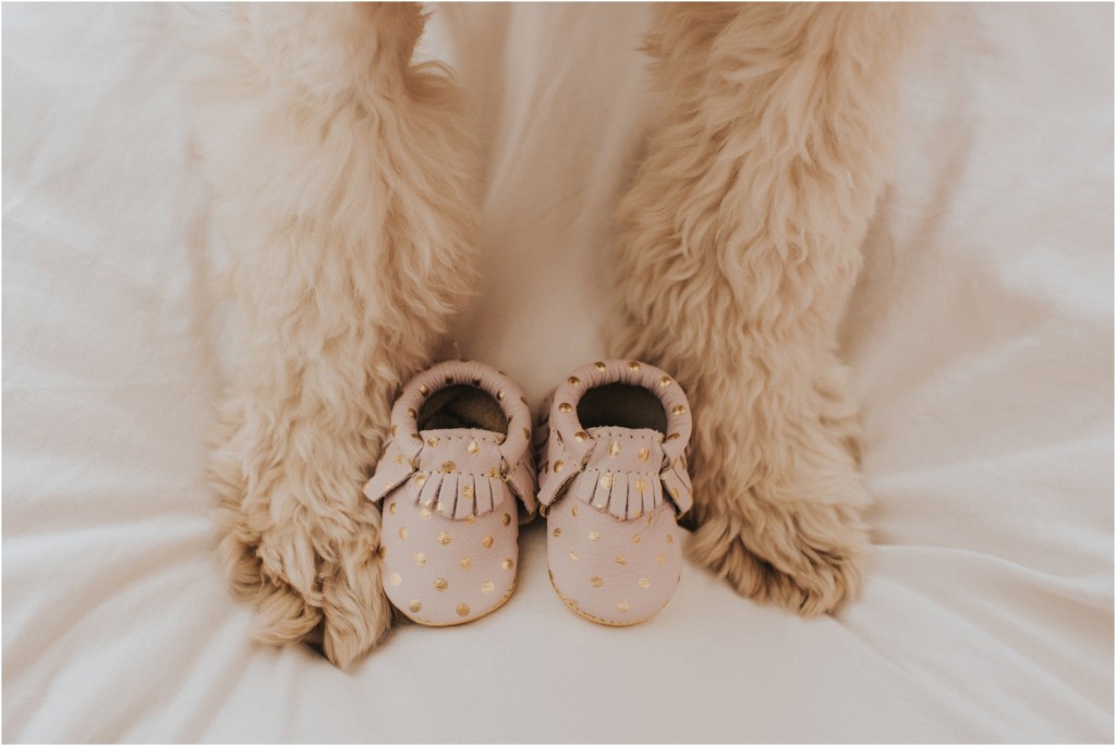 maternity photos