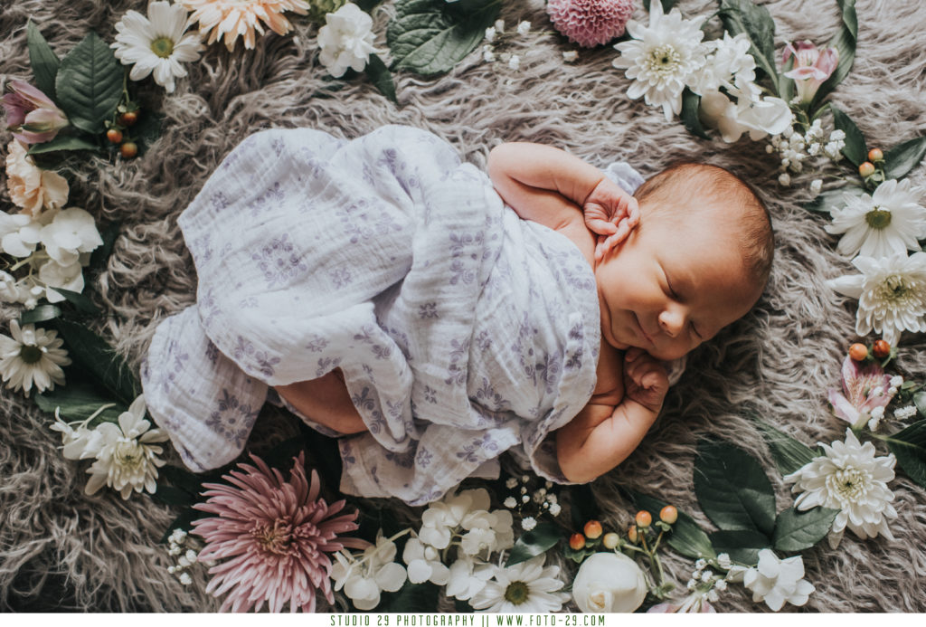 minneapolis_newborn