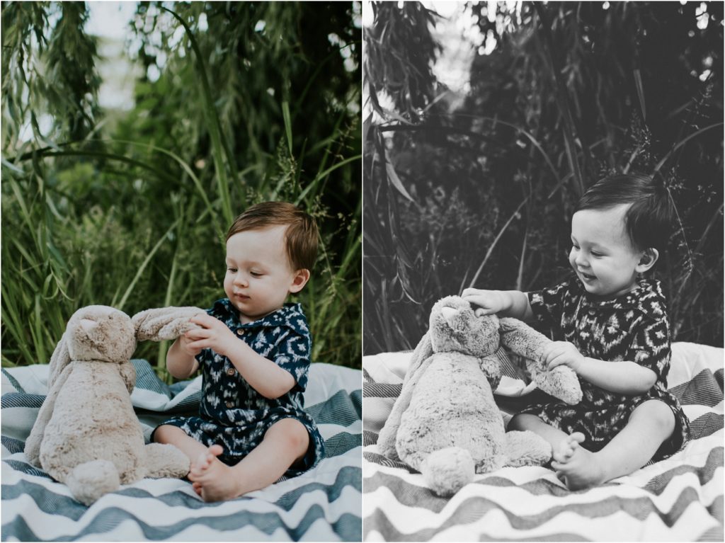 milwaukee family photographer