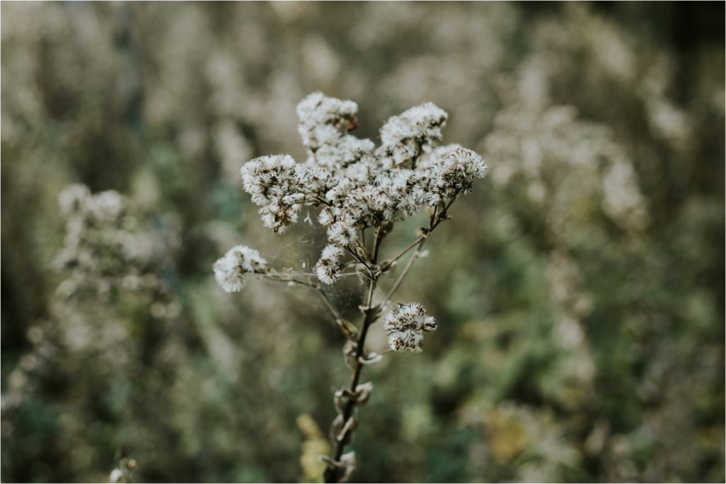midwest-wedding_0616b