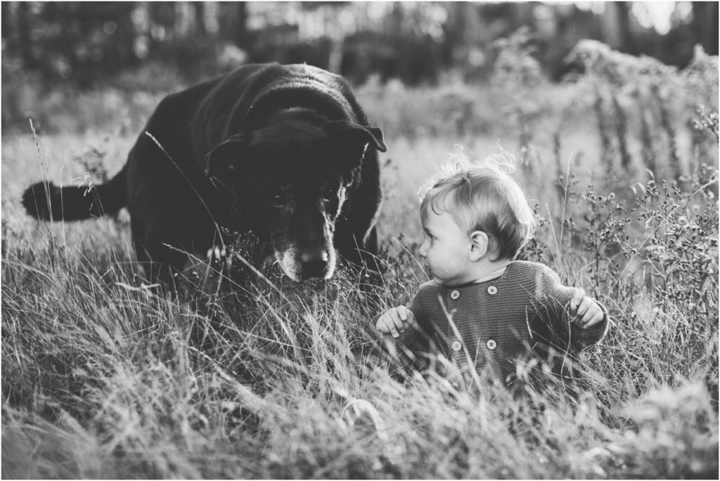 milwaukee-family-photographer_1180