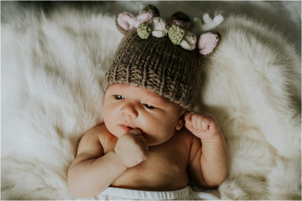 milwaukee newborn photographer