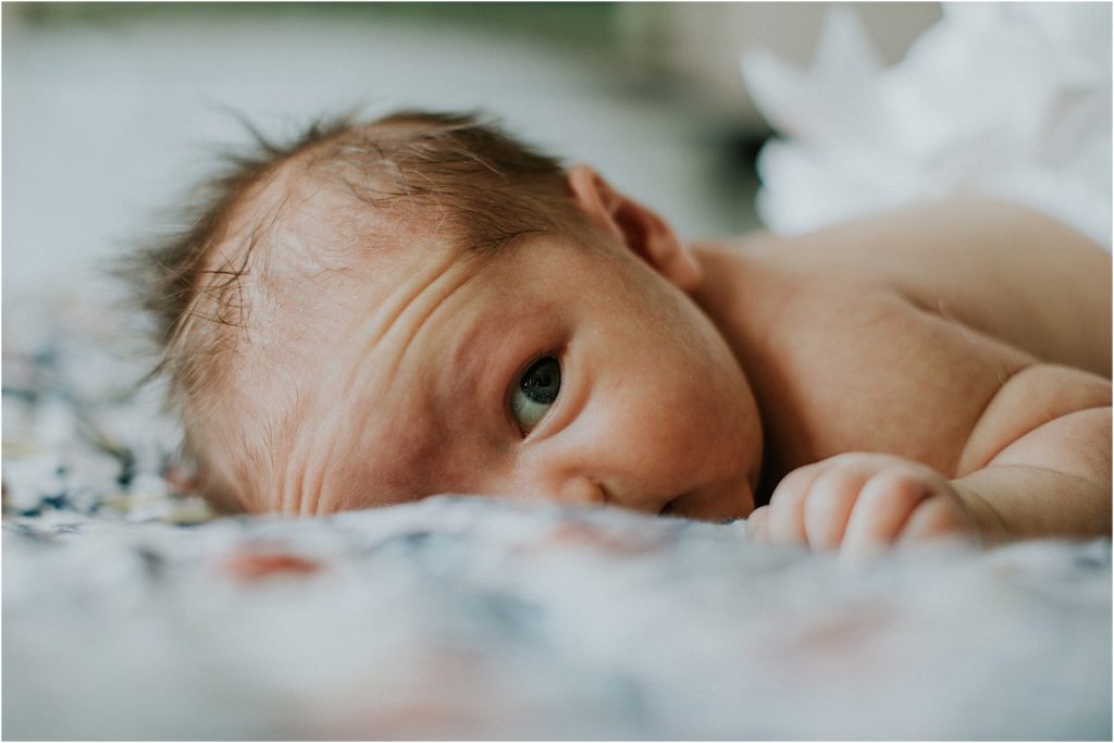 milwaukee newborn photographer