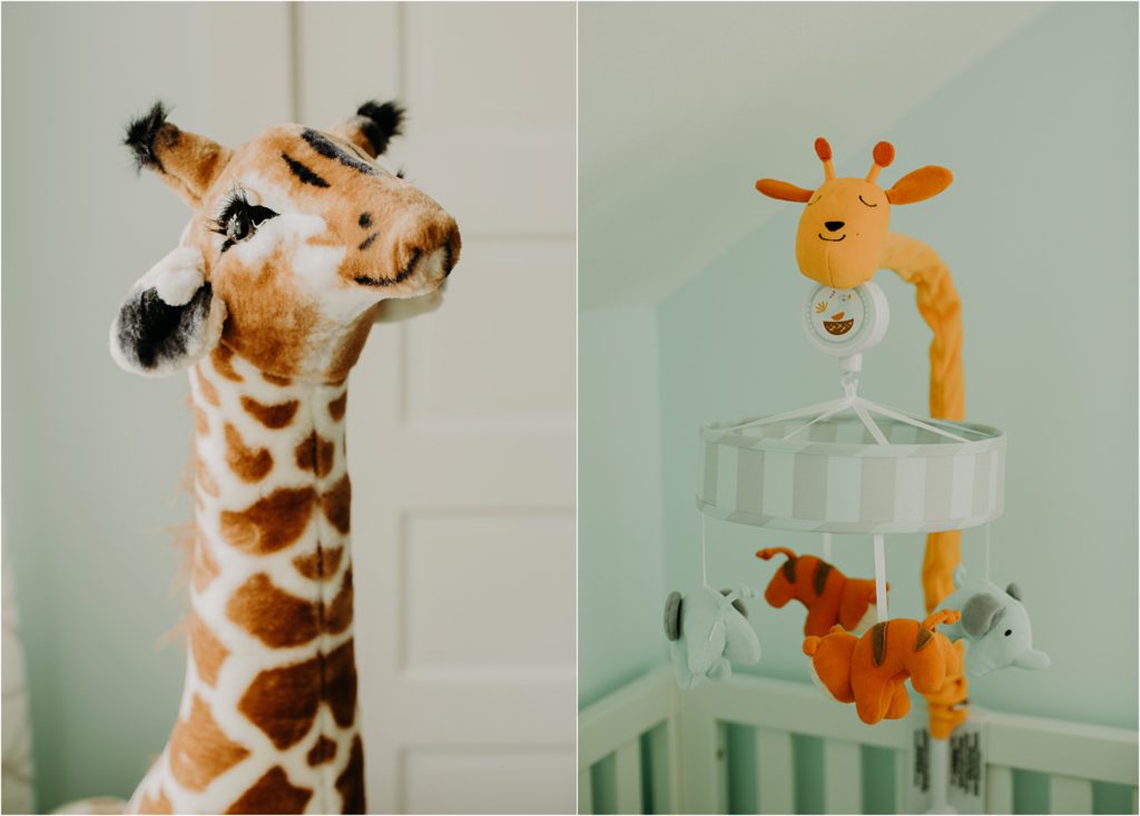 wauwatosa newborn session