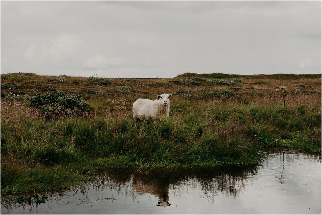 Iceland Wedding Photographer