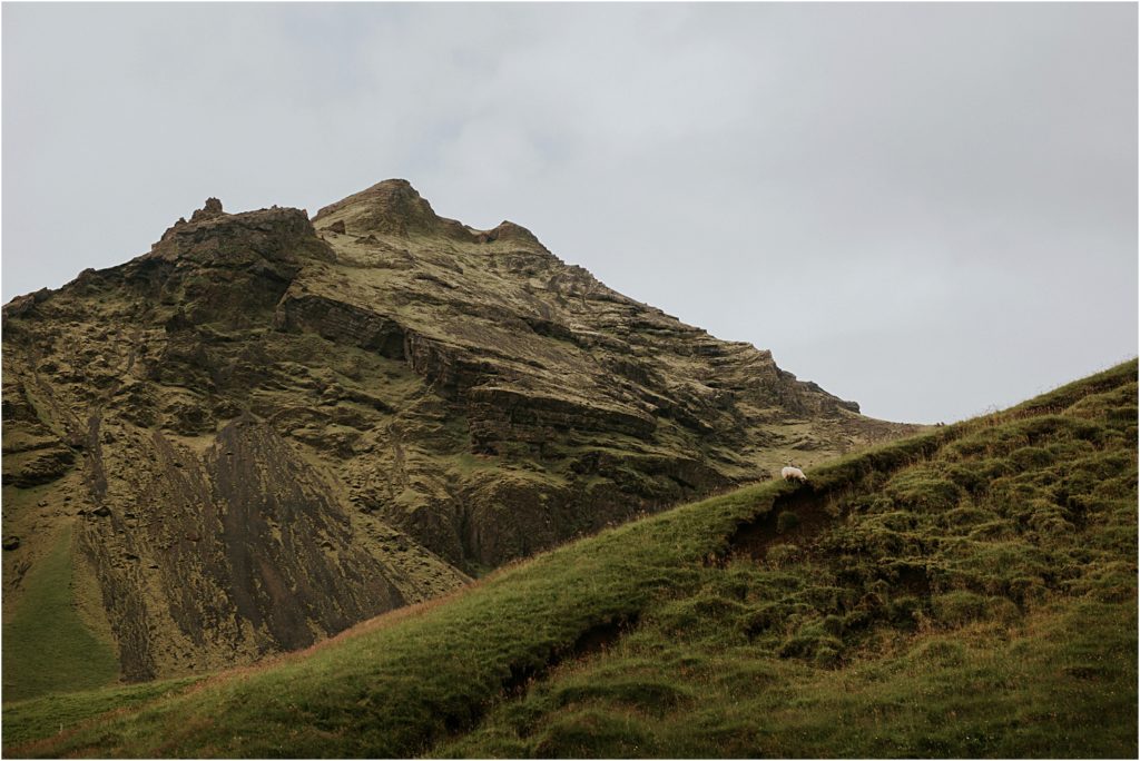 Iceland Wedding Photographer