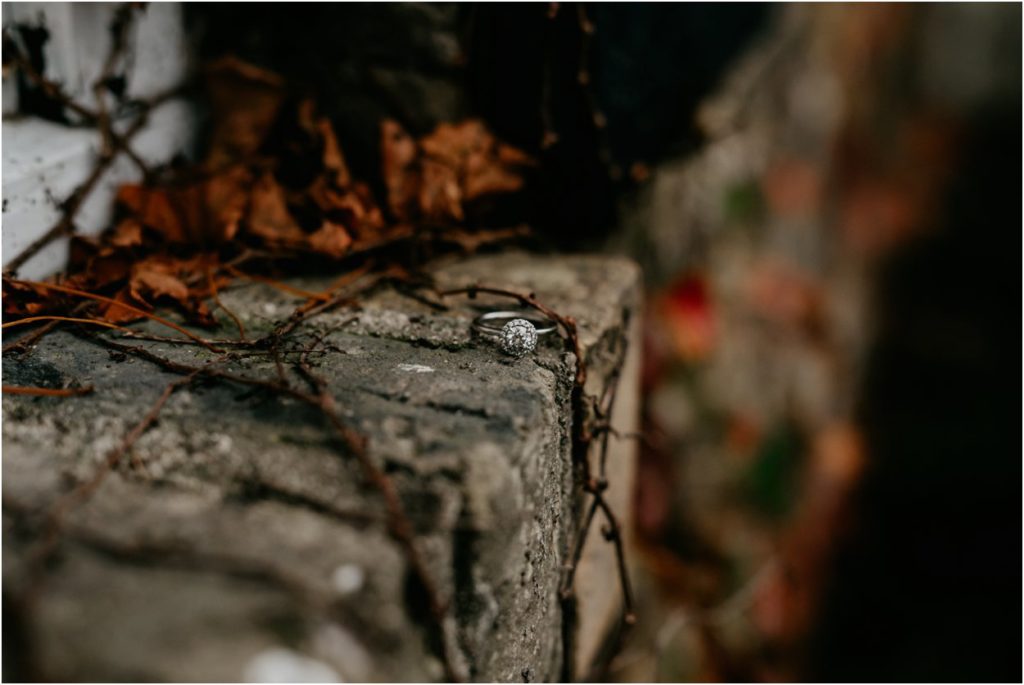 Milwaukee Engagement Photography