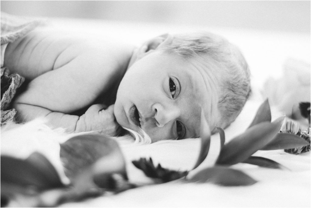 milwaukee newborn photographer