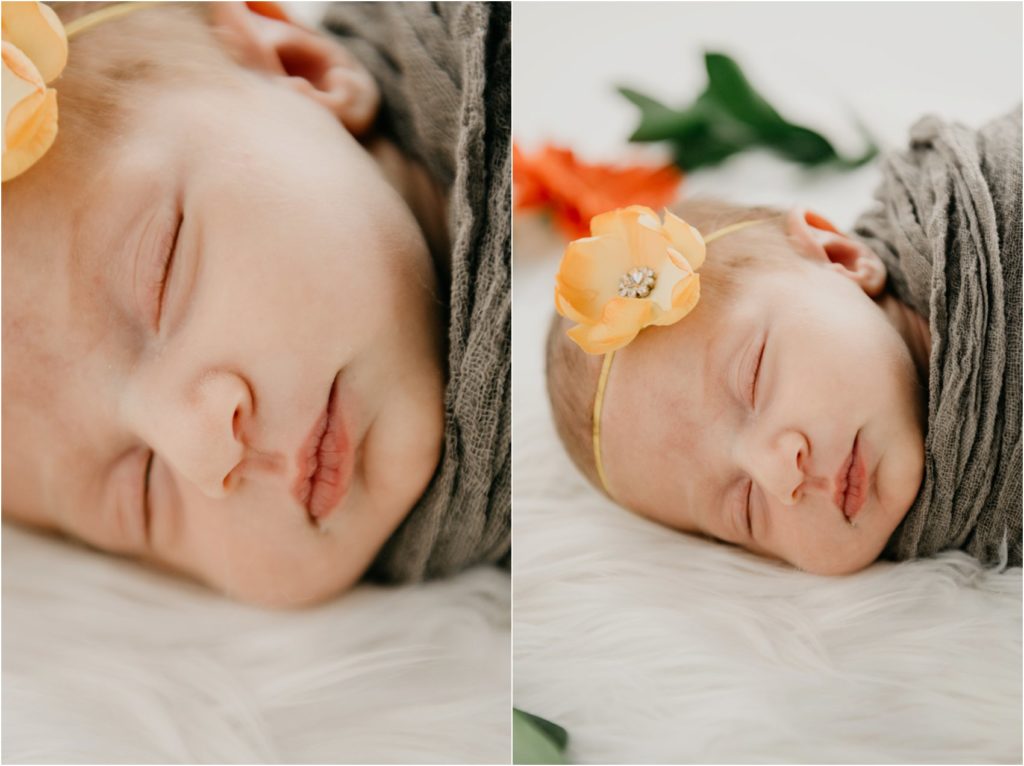 milwaukee newborn photographer