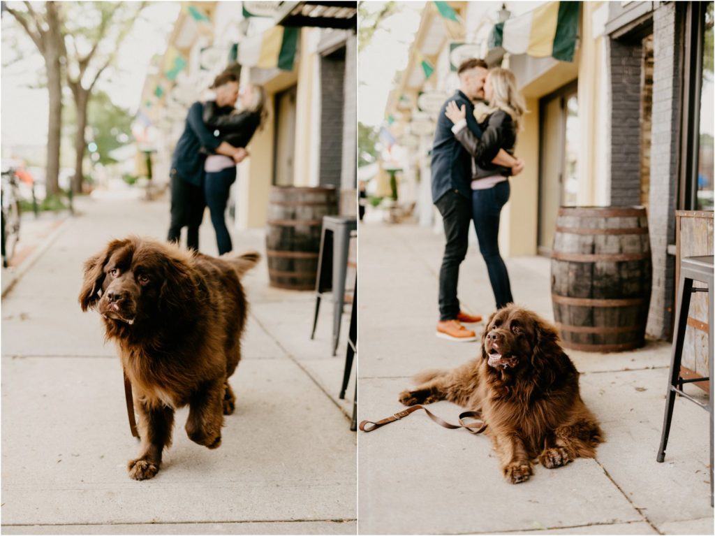 Milwaukee engagement photos Studio 29 Photography