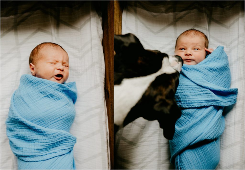 Milwaukee newborn photographer