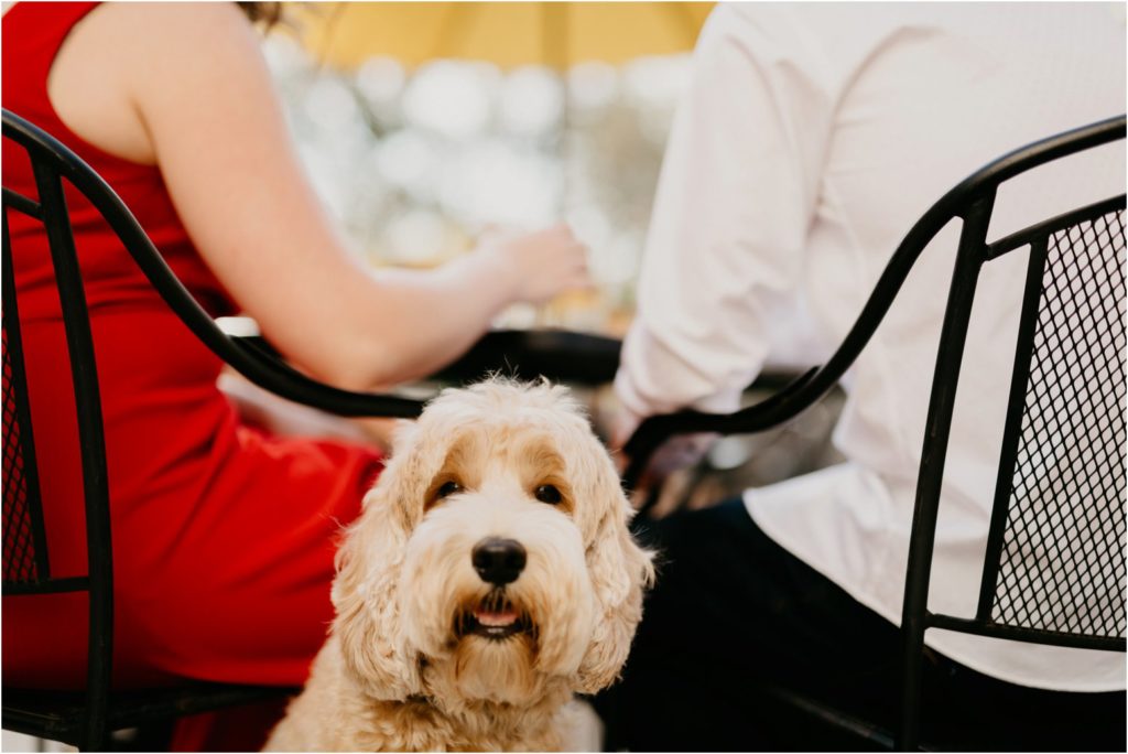 Minneapolis engagement photographer