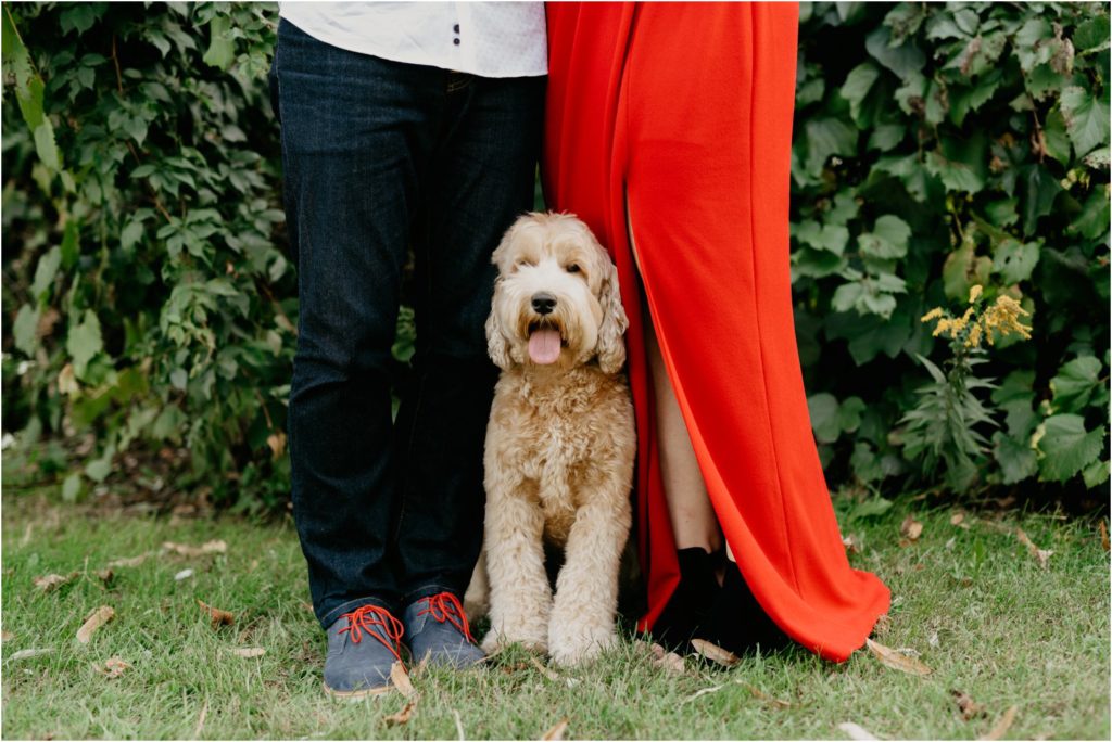 Minneapolis engagement photographer