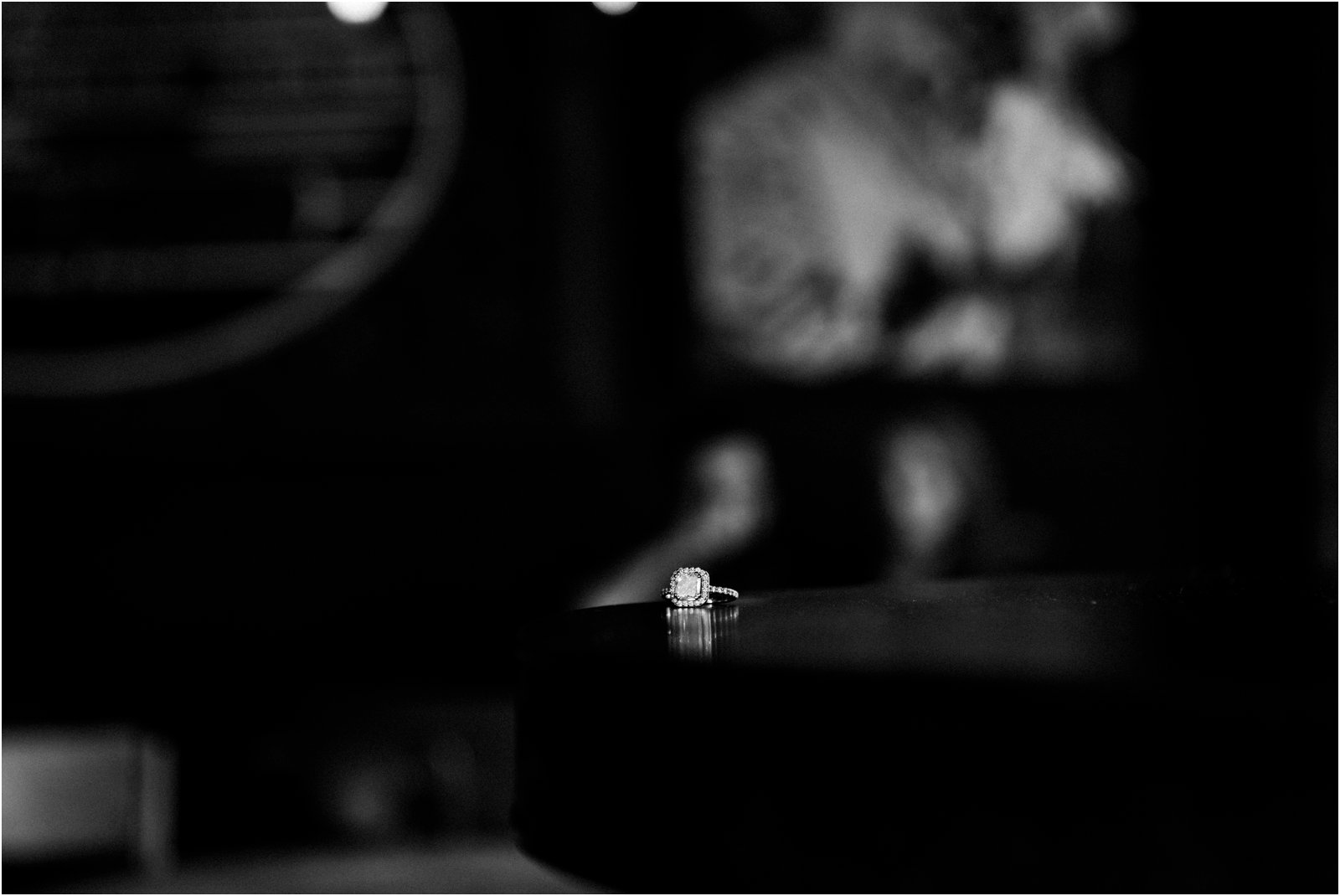 milwaukee Wisconsin engagement session studio 29 photography