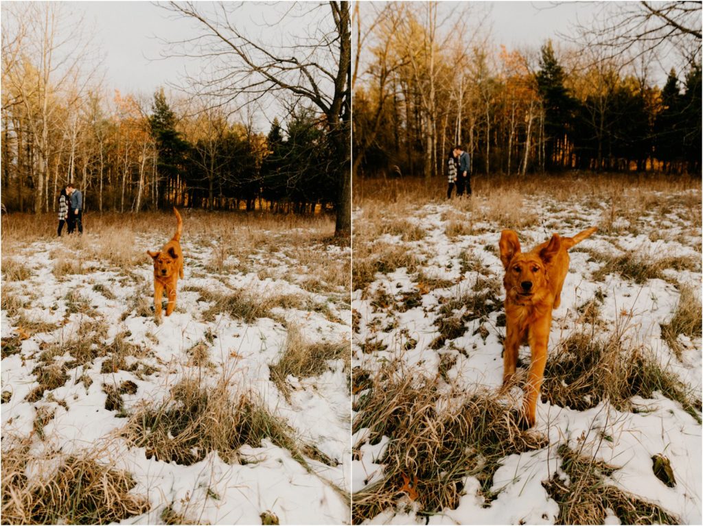 Wisconsin family winter portrait session with dog