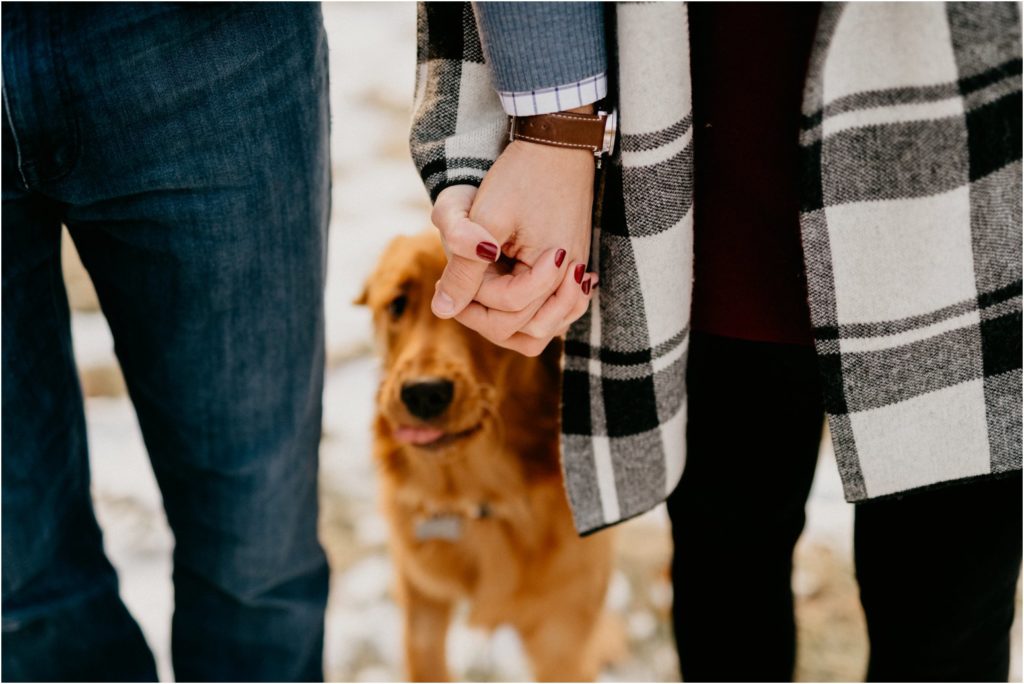 Wisconsin family winter portrait session with dog