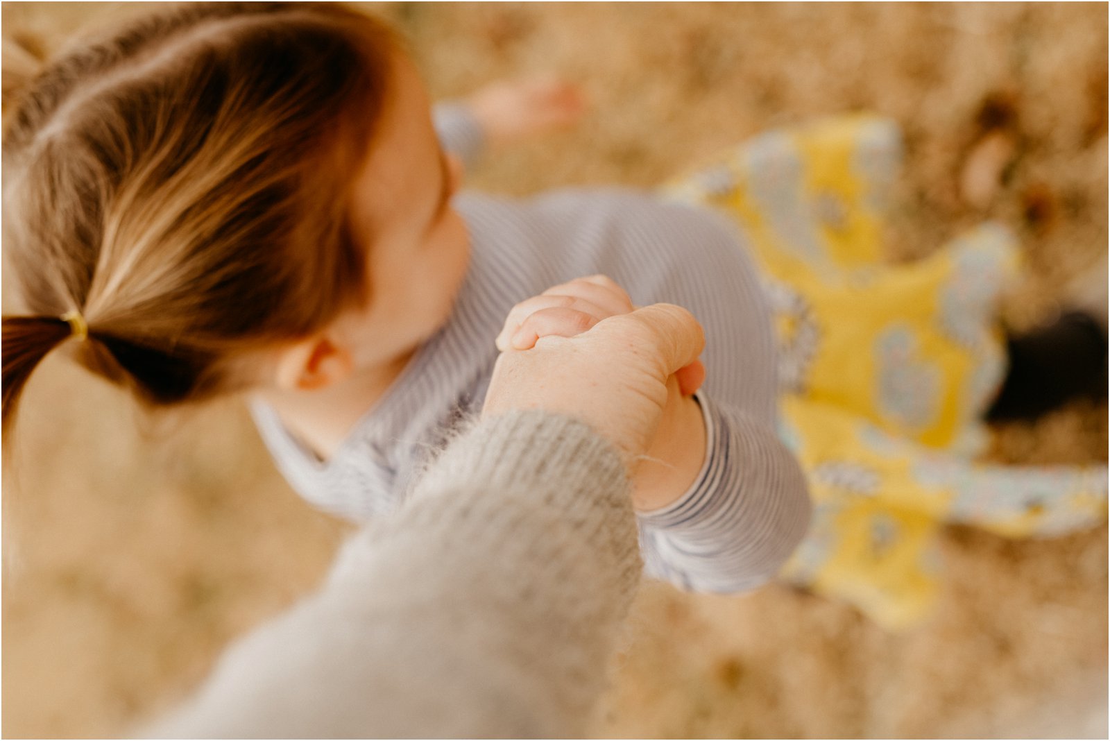 Charlottesville Virginia Family Photographer 