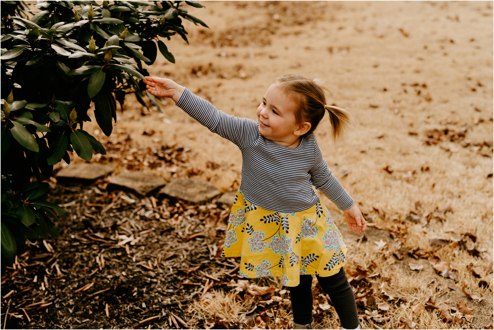 Charlottesville Virginia Family Photographer 