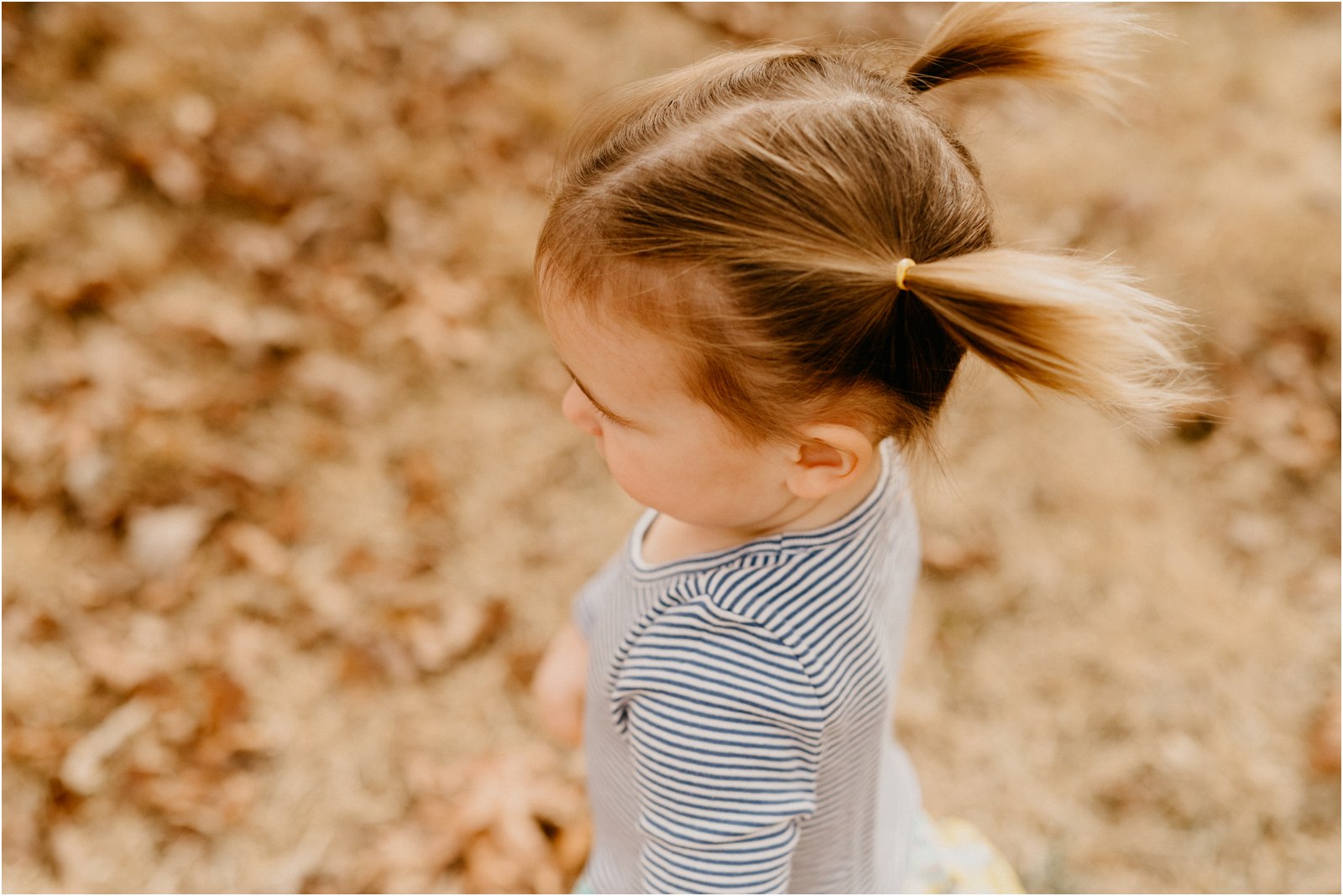 Charlottesville Virginia Family Photographer 