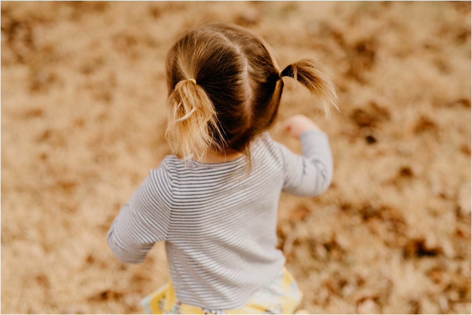 Charlottesville Virginia Family Photographer 
