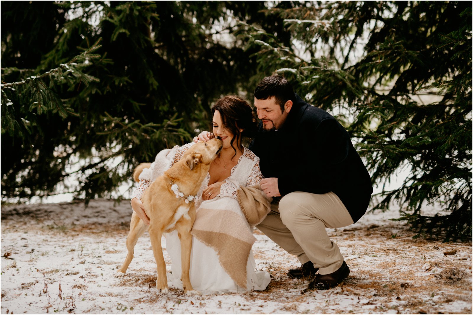 include dogs in photos