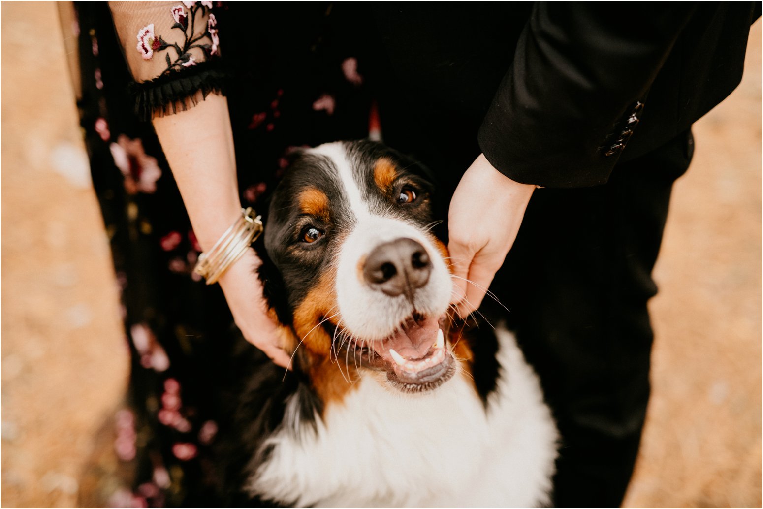 Wisconsin wedding photographer studio 29 photography