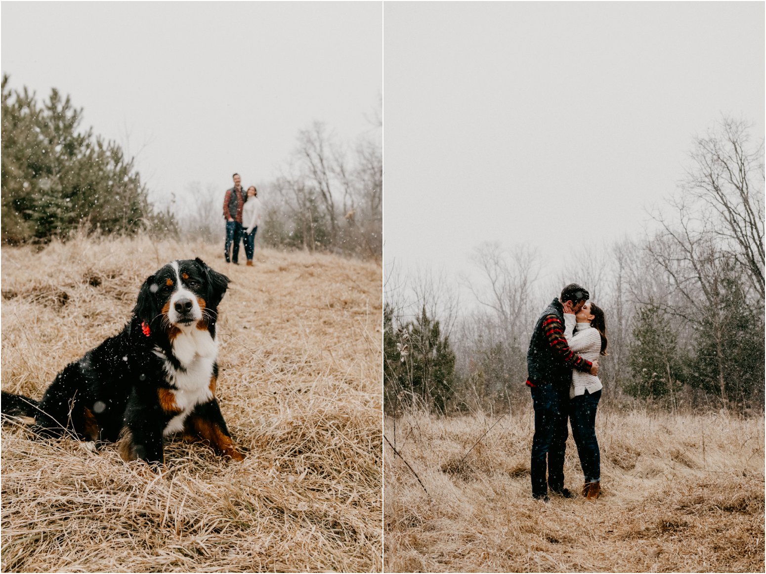 engagement session with dog