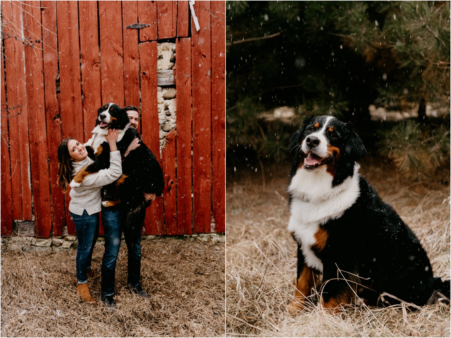 engagement session with dog