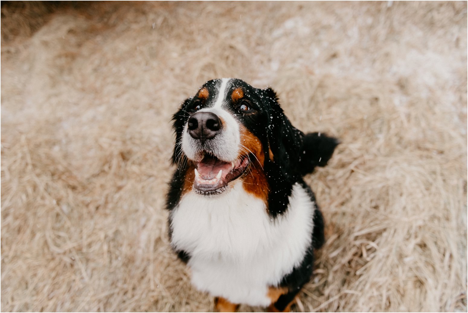 Wisconsin wedding photographer