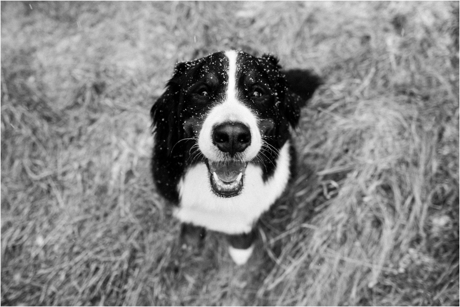 Wisconsin wedding photographer