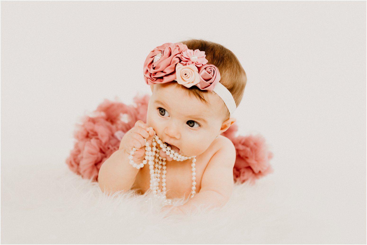 Milwaukee Wisconsin Family Photographer Studio 29 Photography