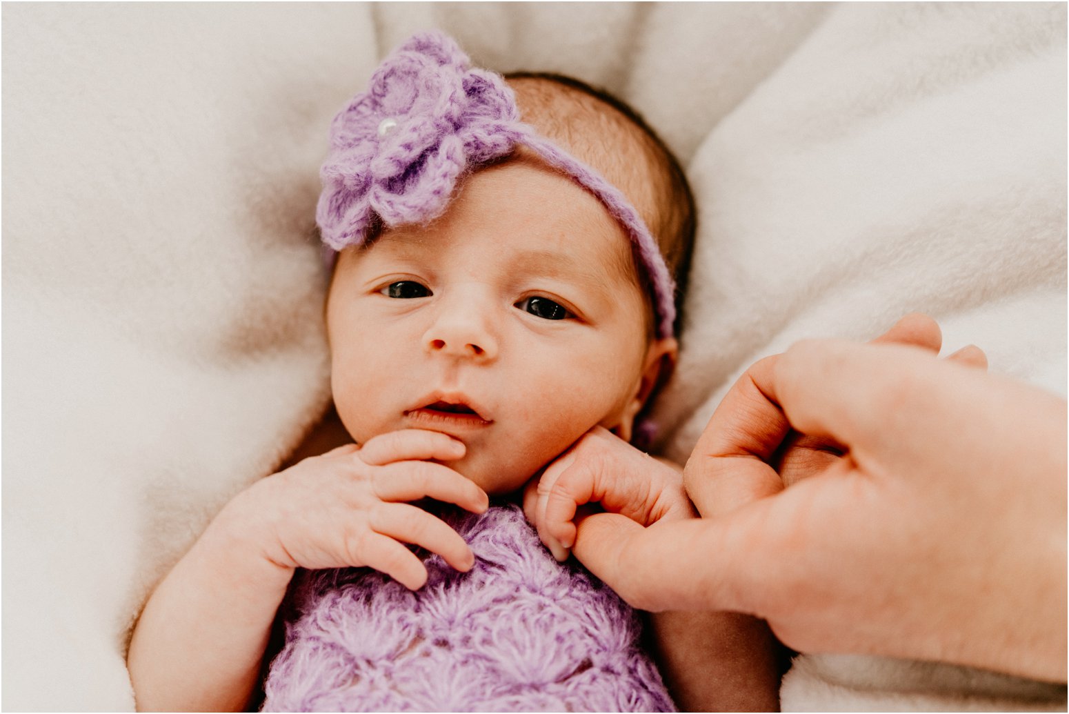 Milwaukee Wisconsin Newborn Photographer