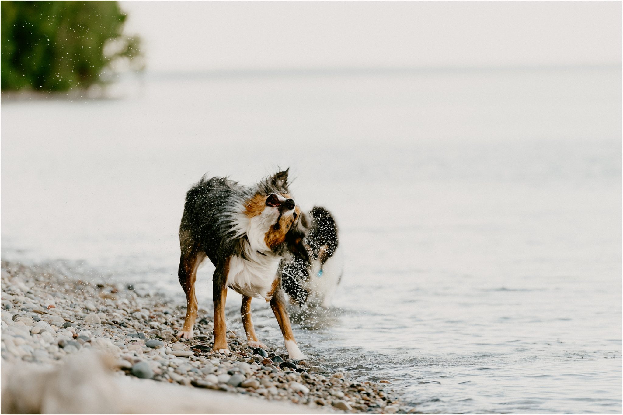 studio 29 photography Wisconsin engagement photographer