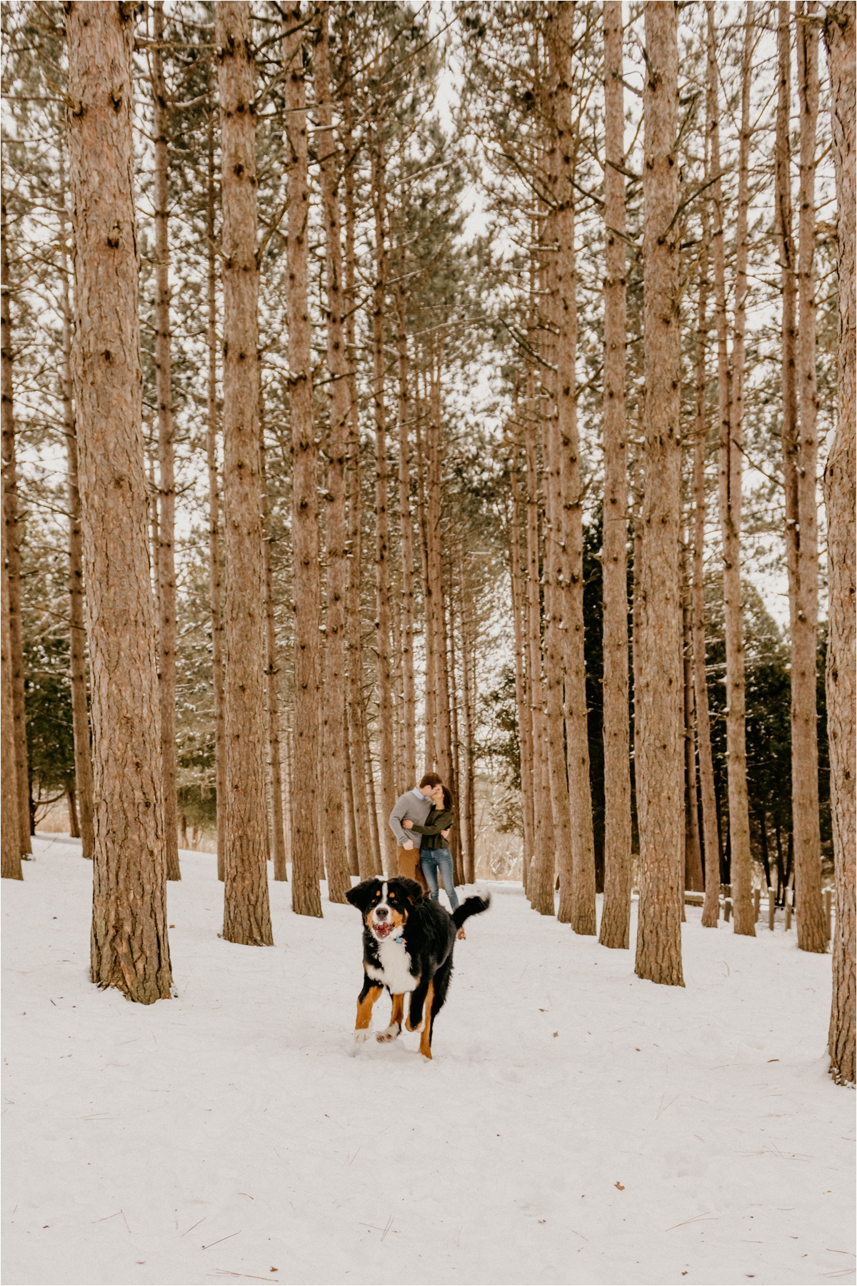Wisconsin winter engagement photos