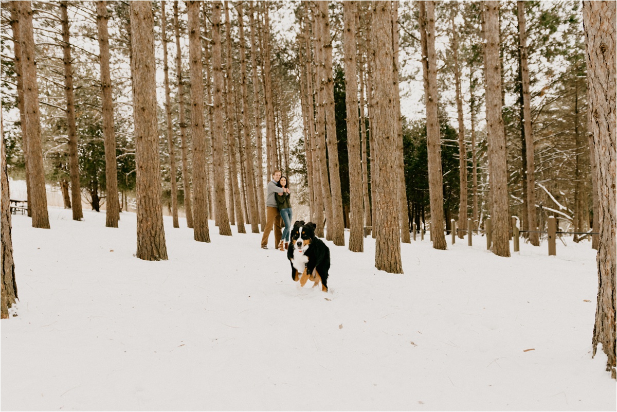 Wisconsin winter engagement photos